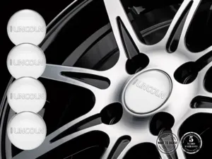 Lincoln Domed Stickers Style High-Quality Rim Labels